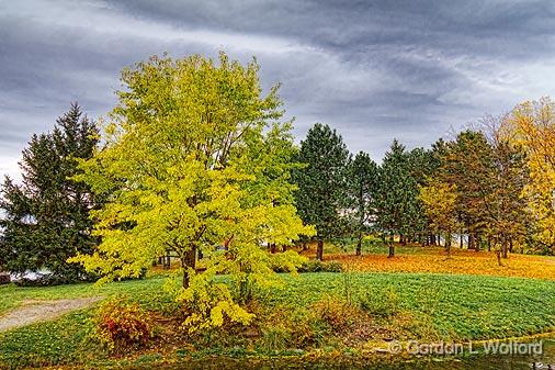 GORDON WOLFORD PHOTOGRAPHY/Ontario/Eastern Ontario/Landscapes of